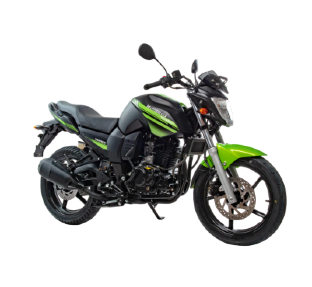 Мотоцикл дорожный Motoland BANDIT 300 зеленый