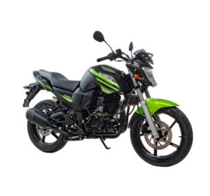 Мотоцикл дорожный Motoland BANDIT 300 зеленый 