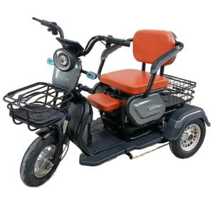 Трицикл с электродвигателем SHTENLI Model A031 60V20AH li-ion,Китай