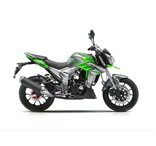 Мотоцикл Regulmoto T-Leopard