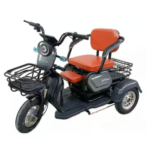 SHTENLI Трицикл с электродвигателем Model 48V20AH li-ion,Китай