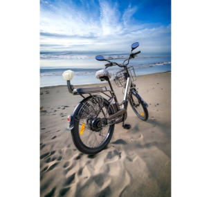 " e-ALFA 48V Электровелосипед в комплекте, 26" E-BIKE 48V 